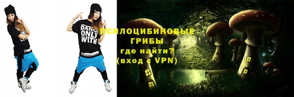 прущие грибы Арсеньев