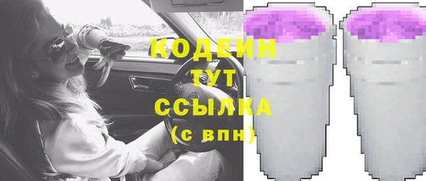 прущие грибы Арсеньев