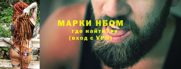 прущие грибы Арсеньев